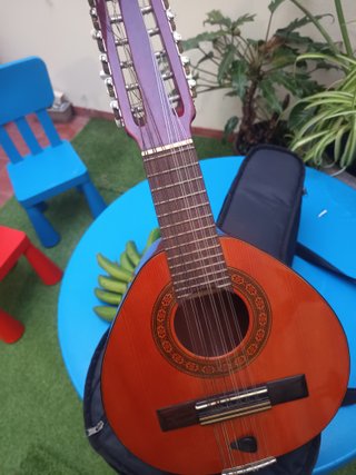 Bandurria con funda