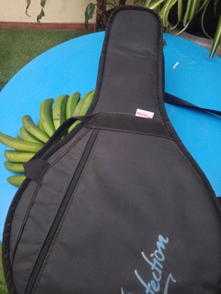 Bandurria con funda