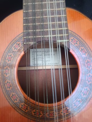 Bandurria con funda