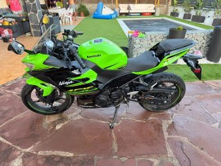 Kawasaki Ninja 400 ABS Verde/Negro