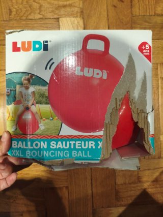 Pelota saltarina Ludi 55cm
