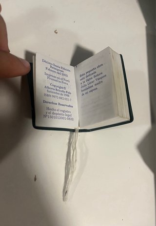 Lote Libros en miniatura de Alberto Briceño Polo