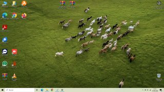 HP Pavilion 20 b101bs All-in-One