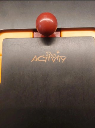 Gioco interattivo Dog Activity