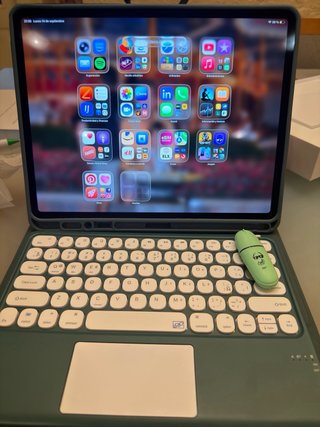 iPad Pro 12.9 Cargador y Cable USB-C
