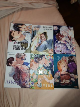 Lote 6 MANGAS BL