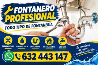 Fontanero profesional