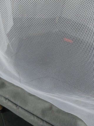 Cama elástica
