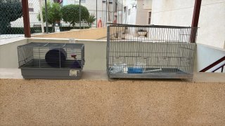 Jaula para hámster y agapornis