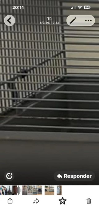 Jaula para hámster y agapornis