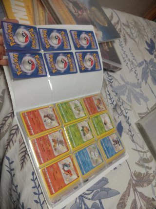 Álbum y cartas Pokémon