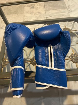 Guantes de Boxeo Charlie Azules 14-TNT