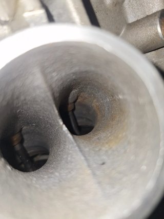 Motor Gas Gas EC400 FSE 2004