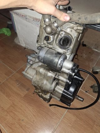 Motor Gas Gas EC400 FSE 2004