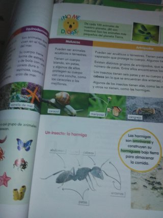 CIENCIAS DE LA NATURALEZA 3 (COMUNIDAD ZOOM)