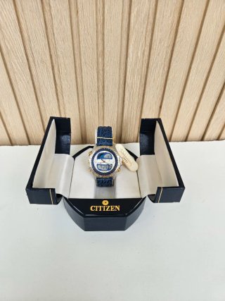 Citizen Promaster Yacht Timer WR100