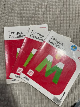 Lengua castellana 4 Primaria