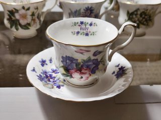 Tazas de porcelana Royal Kent - Meses