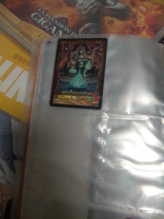Álbum y cartas Fantasy Riders