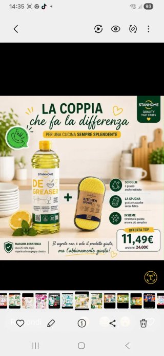 Stanhome De-Greaser e Spugna Cucina