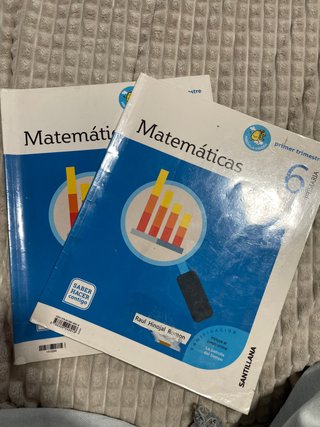 Matemáticas, 6 Primaria Saber Hacer Contigo