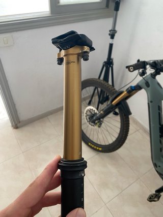 Tija Fox Transfer Kashima
