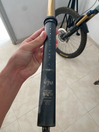 Tija Fox Transfer Kashima