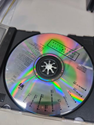 CD Bryan Adams Into the Fire