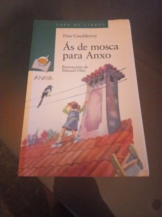 As de mosca para anxo / The Angel to Fly (Cuent...