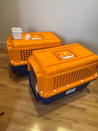 2 Transportines Grandes para Gatos