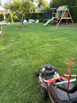 Jardinero