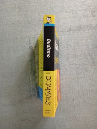 Budismo para Dummies