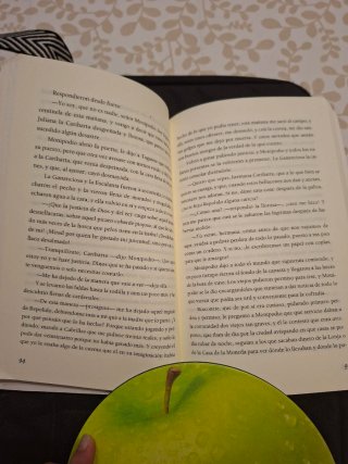 Las novelas ejemplares de Cervantes