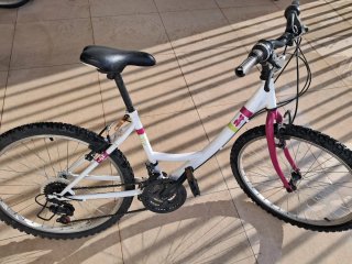 Bicicleta Denbike 24 Niña/o