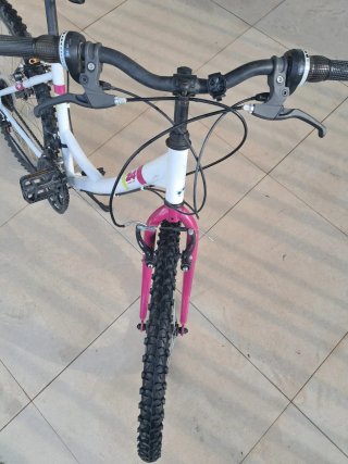 Bicicleta Denbike 24 Niña/o