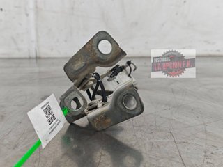 BISAGRA CAPO DERECHA Citroen C3 (09.2009->)