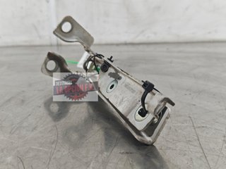 BISAGRA CAPO DERECHA Citroen C3 (09.2009->)