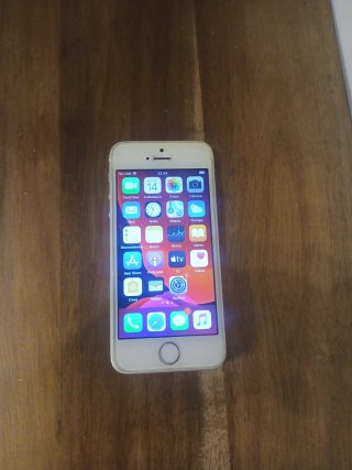 iPhone SE 1ª Gen Bianco