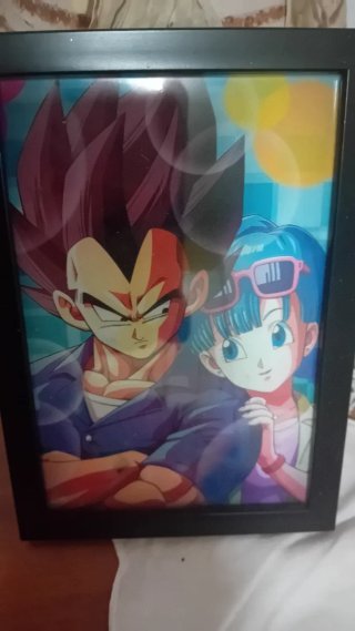 Quadro di Vegeta