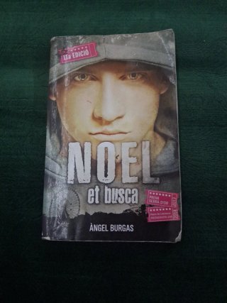 Noel et busca