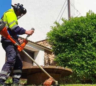 Trabajos de jardineria ,olivos y fincas