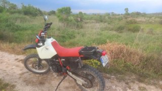 Honda XR600R