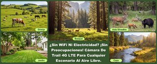 Cámara Vigilancia 4G Solar 2K grabación 24 horas