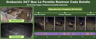 Cámara Vigilancia 4G Solar 2K grabación 24 horas
