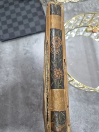 Libro Antiguo El Anacronópete 1887