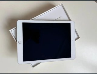 Apple iPad Air 2 color Plata