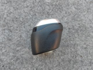 Pomo de Renault scenic 2018