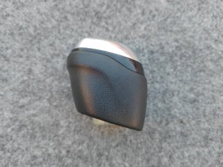 Pomo de Renault scenic 2018