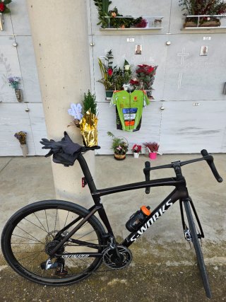 Bici Carretera Specialized S-Works SL7 Talla 54