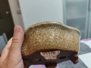 Maceta Bonsái Japonesa Shohin Cerámica. A